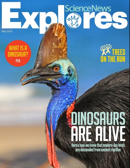 Science News Explores – May 2025