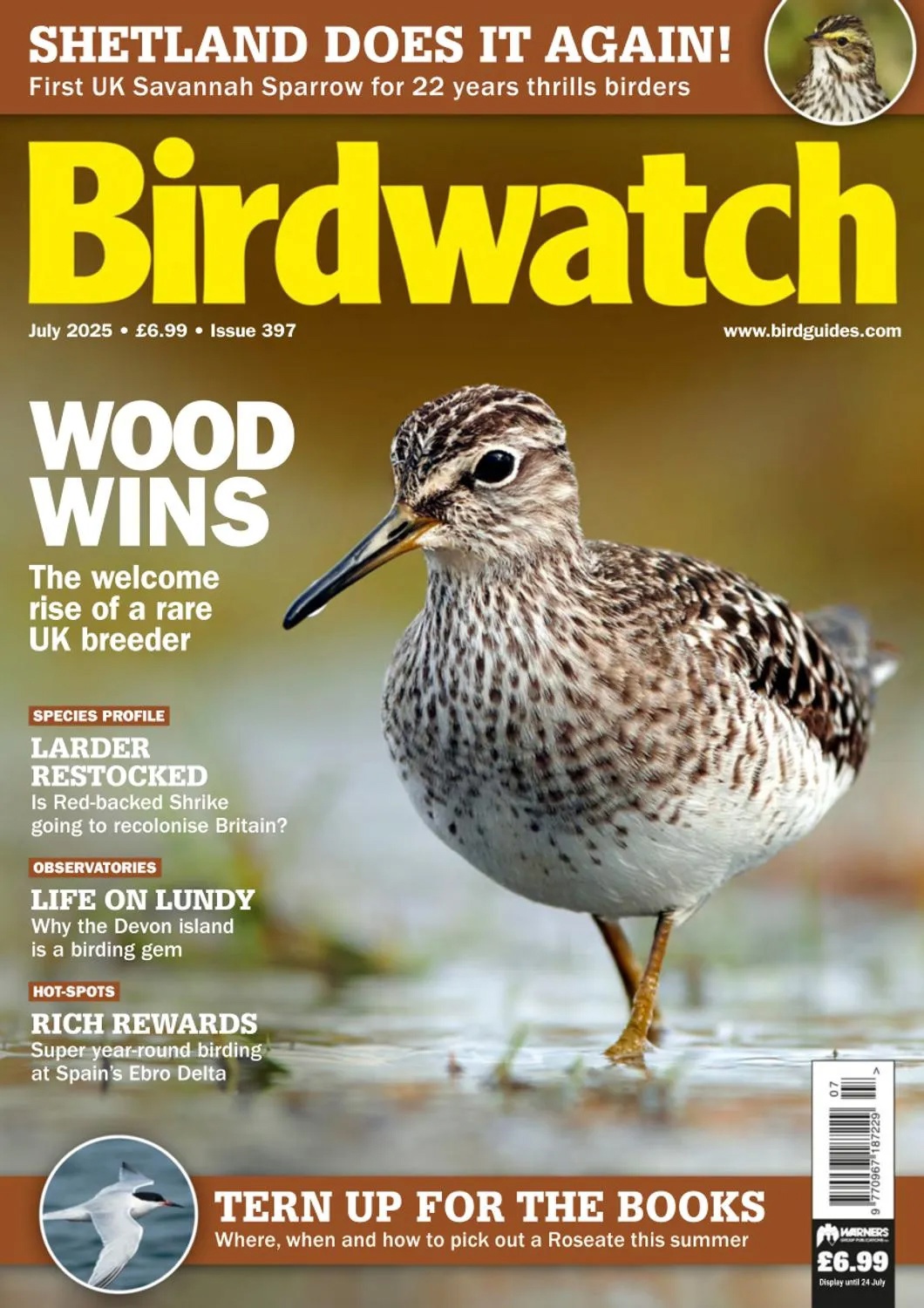Birdwatch UK - July 2025