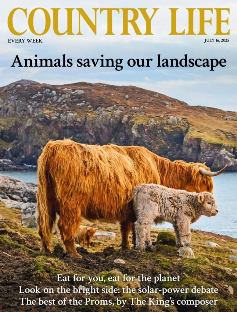 Country Life UK – July 16, 2025