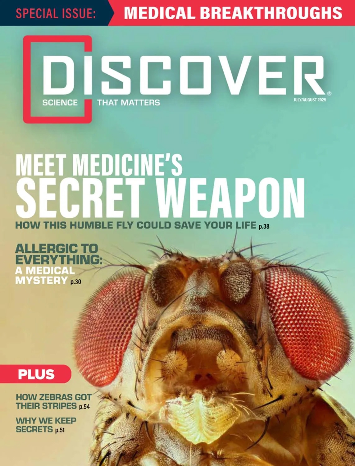 Discover - 1 August 2025