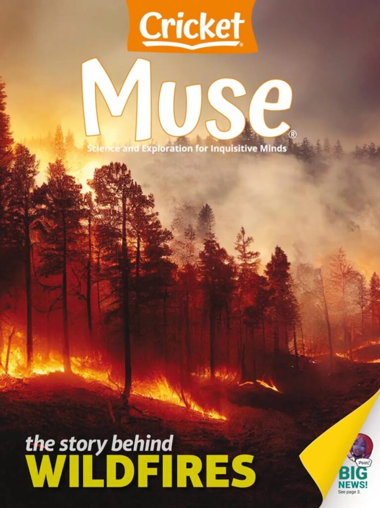 Muse – July-August 2025