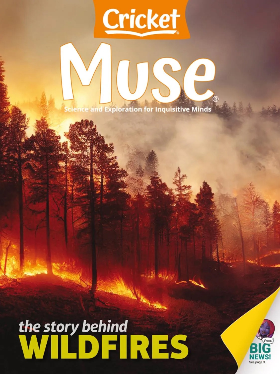Muse - July-August 2025