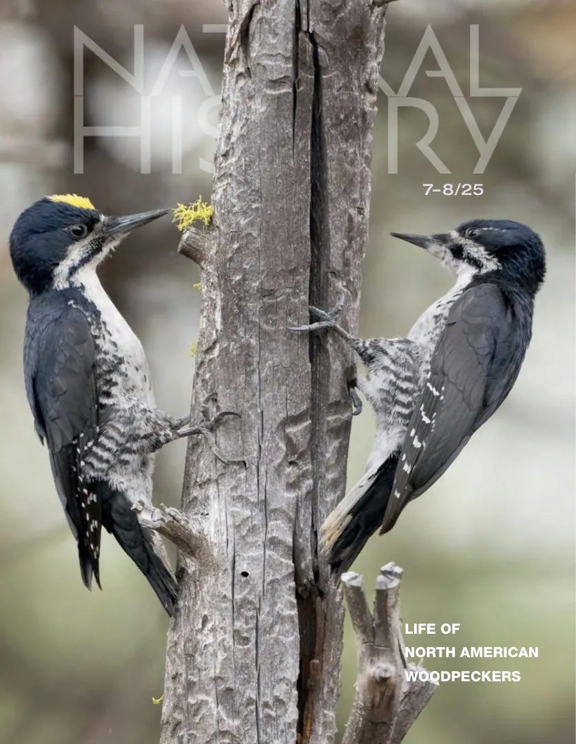 Natural History - July-August 2025