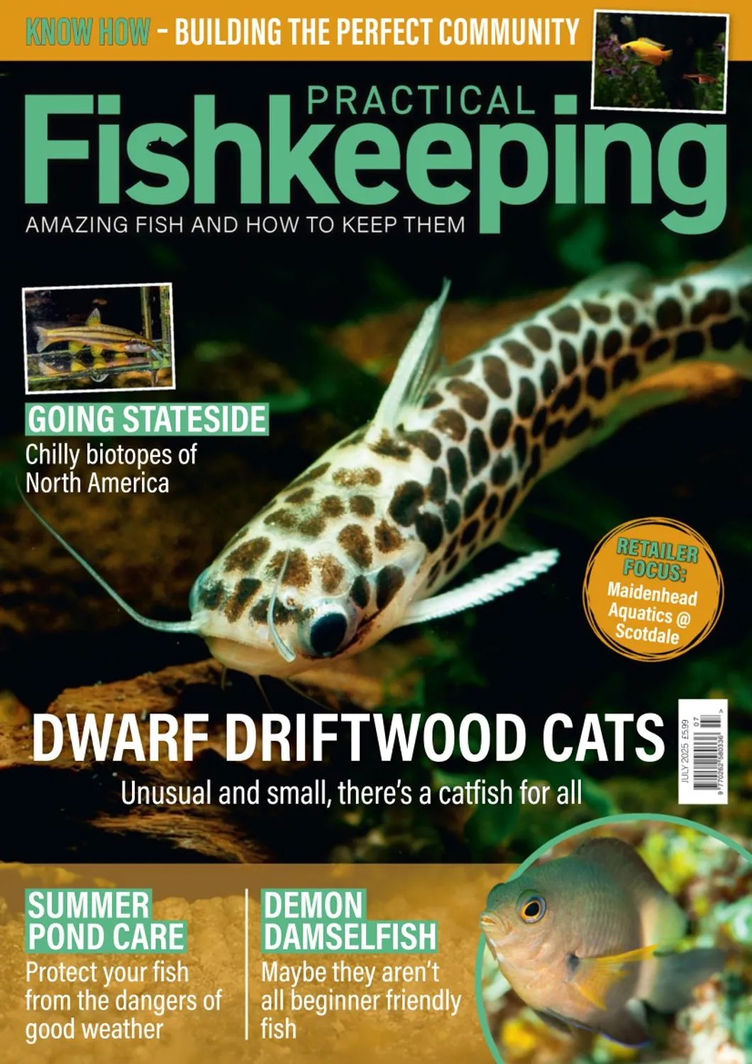 Practical Fishkeeping - July 2025